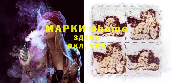 молекула духа Бородино