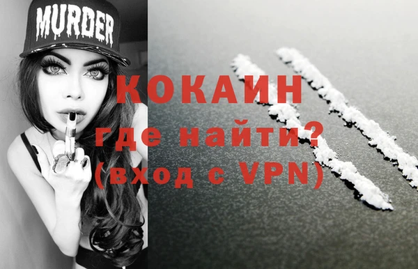 молекула духа Бородино