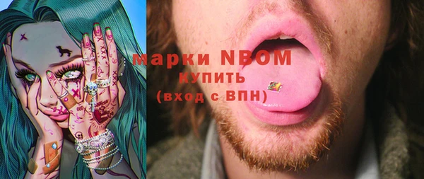 молекула духа Бородино