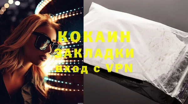 молекула духа Бородино