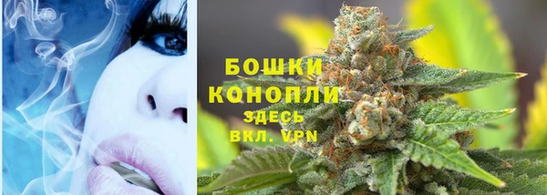 молекула духа Бородино