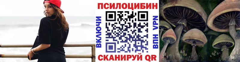 наркотики  Ядрин  Галлюциногенные грибы Psilocybe 